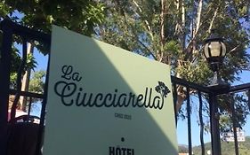La Ciucciarella